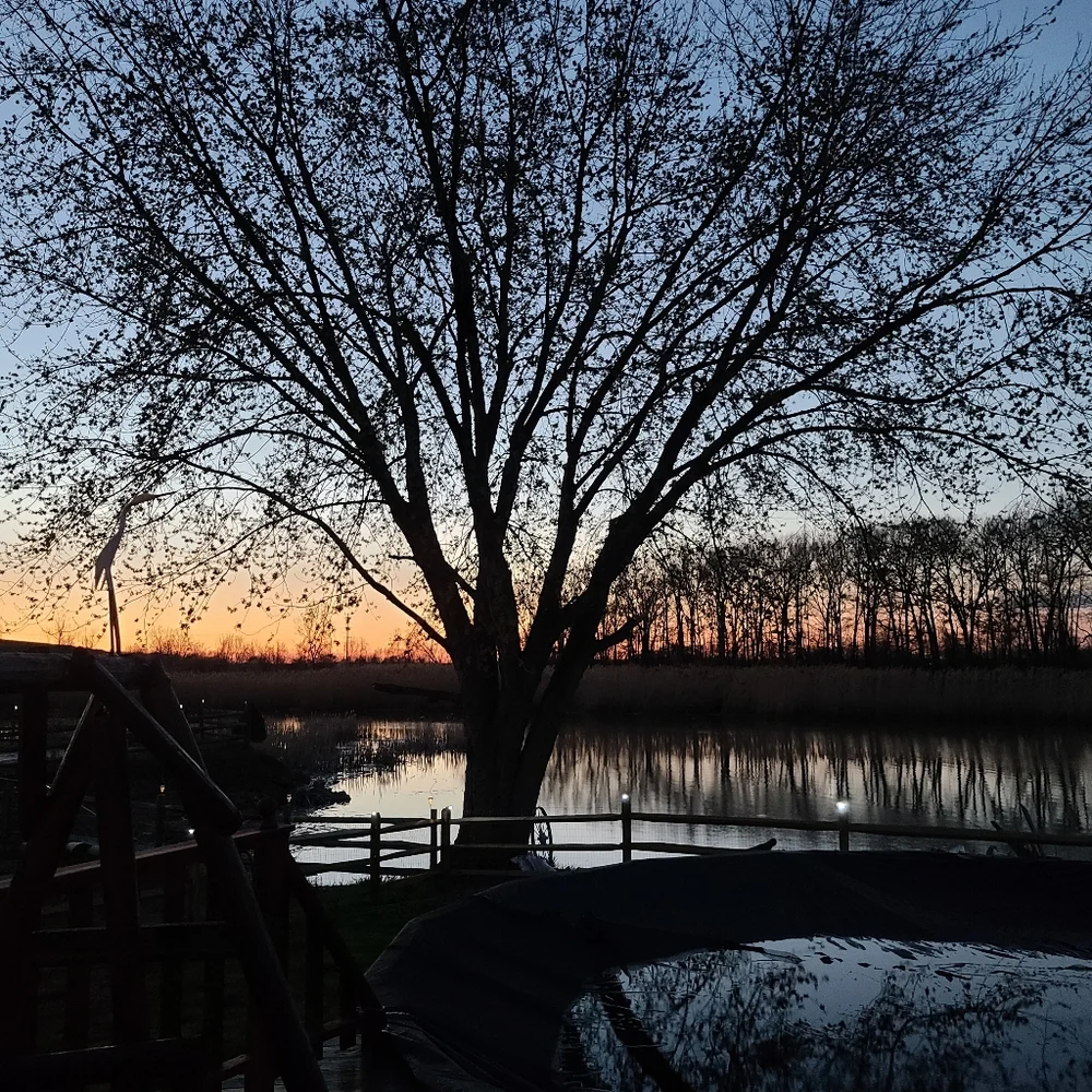 Meet your Posher, Sadies - Picture 5 of 6